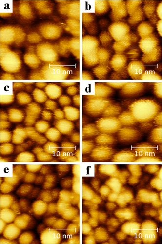 STM topographical images of mixed-ligand-protected nanoparticles acquired at MIT, EPFL, UG, UdS, and KUL (Agilent 5100 PicoLE)